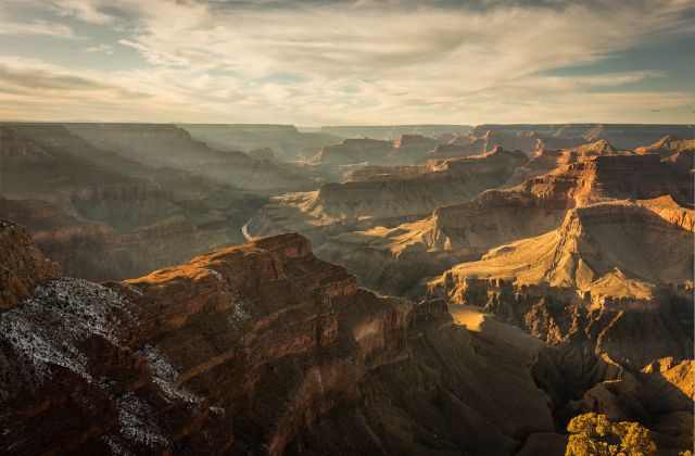 Bioeconomy: Challenges and opportunities