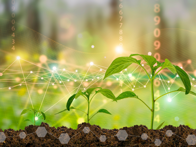 Calling for Action: Supporting the Transition Pathway for the Chemical Industry