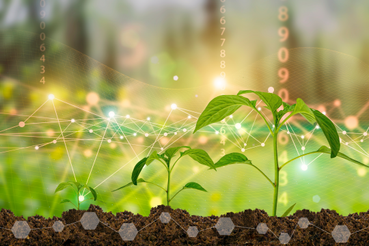 Calling for Action: Supporting the Transition Pathway for the Chemical Industry